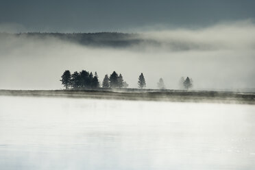 USA, Wyoming, Hayden Valley, Yellowstone-Nationalpark - NNF000137