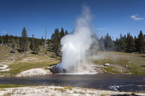 USA, Wyoming, Yellowstone-Nationalpark, Riverside-Geysir - NNF000139