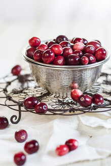 Metallschale mit Preiselbeeren, Vaccinium macrocarpon, auf einem Kühlrost - SBDF001503