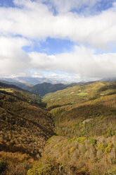 Sapin, Asturien, Mirador de Piedrasluengas, Nationalpark Picos de Europa - LAF001251