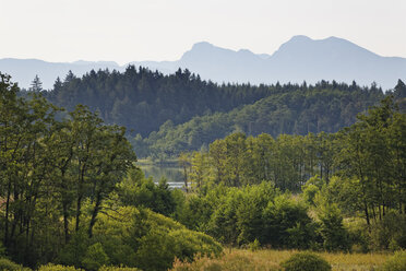 Deutschland, Bayern, Oberbayern, Chiemgau, Eggstätt-Hemhofer Seenplatte, Blick auf den Pelhamer See - SIEF006308