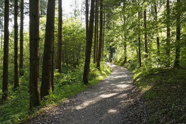 Deutschland, Bayern, Oberbayern, Chiemgau, Eggstätt, ehemalige Römerstraße - SIEF006311