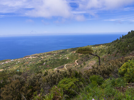 Spanien, Kanarische Inseln, La Palma, Küste bei Garafia - AMF003362