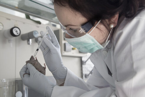 Deutschland, Forschungslabor, Junge Wissenschaftlerin behandelt Labormaus - SGF001138