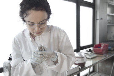 Deutschland, Forschungslabor, Junge Wissenschaftlerin beobachtet Labormaus nach Behandlung - SGF001145