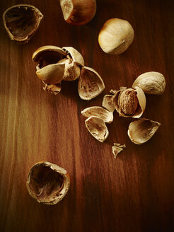 Hazelnut, Corylus avellana - HOEF000284