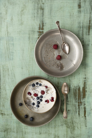 Metallschüssel mit Vanillejoghurt mit Chia, Salvia hispanica, Heidelbeeren und Himbeeren auf grünem Holz, lizenzfreies Stockfoto