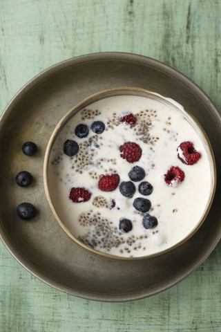 Metallschüssel mit Vanillejoghurt mit Chia, Salvia hispanica, Heidelbeeren und Himbeeren auf grünem Holz, lizenzfreies Stockfoto