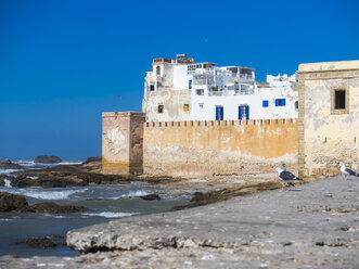 Morocco, Essaouira, Sqala de la Kasbah, Malecon - AMF003396