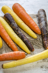 Different organic carrots on wood - SARF001127