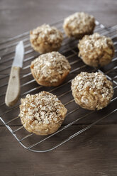 Apfel-Hafer-Muffins auf dem Kühlgitter - EVGF001390