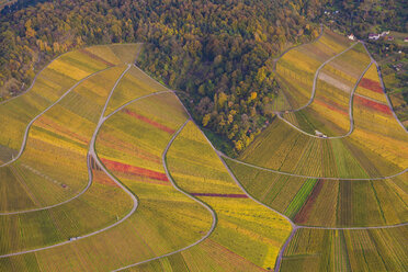 Germany, Baden-Wuerttemberg, Stuttgart, aerial view of vineyards at Rotenberg - WDF002778