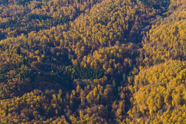 Deutschland, Baden-Württemberg, Luftaufnahme eines Waldes auf der Schwäbischen Alb - WDF002786