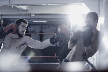 Two boxers fighting in ring - ZEF002498