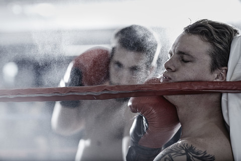 Two boxers fighting in ring stock photo