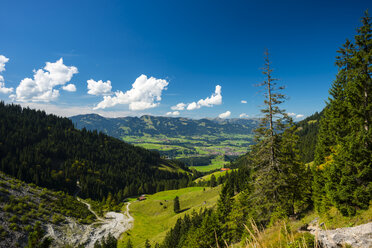 Deutschland, Bayern, Illertal bei Oberstdorf - WGF000550