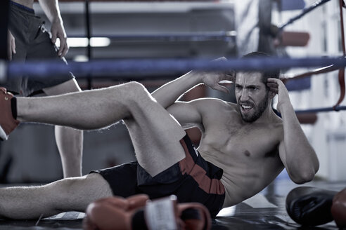 Boxer beim Training im Boxring - ZEF002509