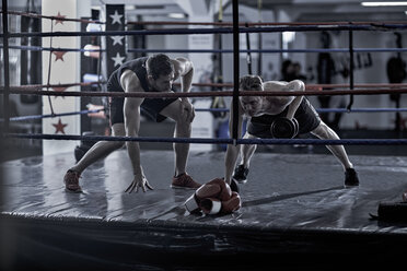 Trainer mit Boxer beim Training im Boxring - ZEF002510