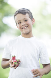 Portrait of boy holding strawberries - ZEF002736