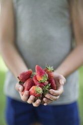 Hände eines Jungen mit Erdbeeren - ZEF002764