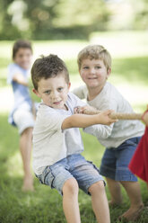 Kinder im Garten beim Tauziehen - ZEF002827