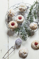 Home-baked Christmas cookies and fir branch on cooling grid - SBDF002154