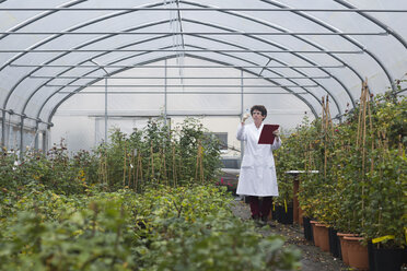 Scientist in greenhouse examining plants - SGF001208