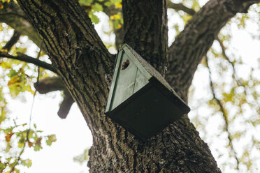 Birdhouse hanging on a tree - DWF000202