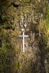 Belgien, Hohes Venn, Kruzifix aus Stahlblech an einem Baumstamm befestigt - HLF000813