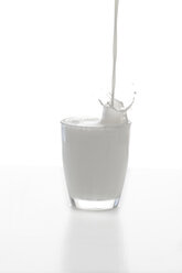 Milch spritzt in einem Glas Milch vor weißem Hintergrund - YFF000281