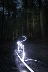Lichtspuren in einem nächtlichen Wald - STK001080