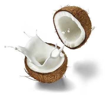 Two halves of a coconut and splashing coconut milk in front of white background - RAMF000029