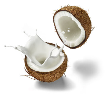 Zwei Kokosnusshälften und spritzende Kokosnussmilch vor weißem Hintergrund - RAMF000029