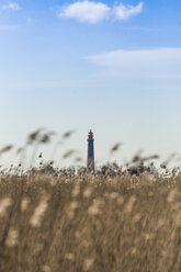 Germany, Fehmarn, Orth, lighthouse Fluegge - KBF000252