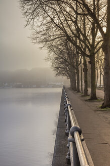 Germany, Hamburg, trees and sidewalk next to the foggy Alster lake - NKF000215