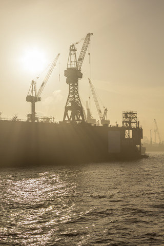 Deutschland, Hamburg, Silhouette von Kranichen im Nebel über der Elbe, lizenzfreies Stockfoto