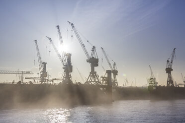 Deutschland, Hamburg, Silhouette von Kranichen im Nebel über der Elbe - NKF000223