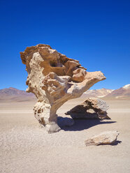 Südamerika, Bolivien, versteinerter Baum im Gebiet des Salar de Uyuni - SEGF000183