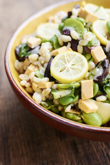 Warmer Salat mit Ackerbohnen, Schalotten, Zucchini, schwarzen Oliven, Minze, Gerste und veganem Käse - HAWF000537