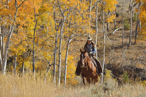 USA, Wyoming, Big Horn Mountains, reitendes Cowgirl im Herbst, lizenzfreies Stockfoto