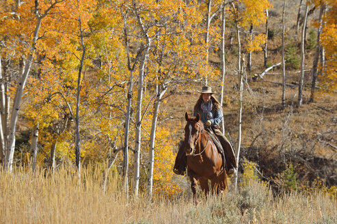 USA, Wyoming, Big Horn Mountains, reitendes Cowgirl im Herbst - RUEF001294