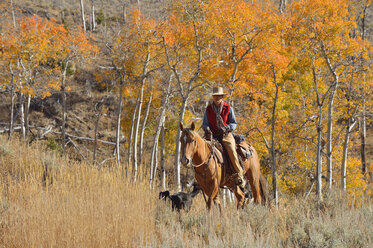 USA, Wyoming, Big Horn Mountains, reitendes Cowgirl im Herbst - RUEF001295