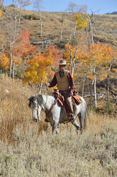 USA, Wyoming, Big Horn Mountains, reitender Cowboy im Herbst - RUEF001328