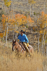 USA, Wyoming, Big Horn Mountains, reitender Cowboy im Herbst - RUEF001330