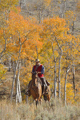 USA, Wyoming, Big Horn Mountains, reitender Cowboy im Herbst - RUEF001296