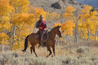 USA, Wyoming, Big Horn Mountains, reitender Cowboy im Herbst - RUEF001297