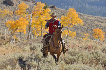 USA, Wyoming, Big Horn Mountains, reitender Cowboy im Herbst - RUEF001298