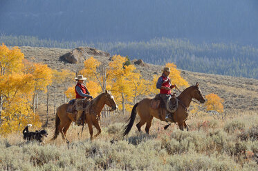 USA, Wyoming, Big Horn Mountains, reitende Cowboys und Cowgirls im Herbst - RUEF001301