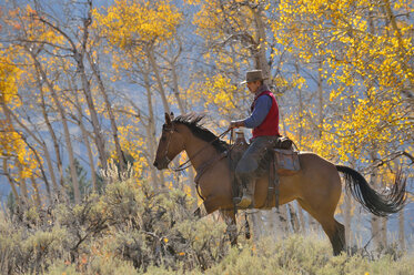 USA, Wyoming, Big Horn Mountains, reitender Cowboy im Herbst - RUEF001304