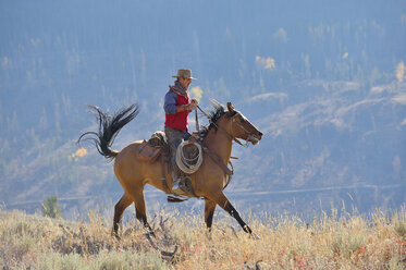 USA, Wyoming, Big Horn Mountains, reitender Cowboy im Herbst - RUEF001305